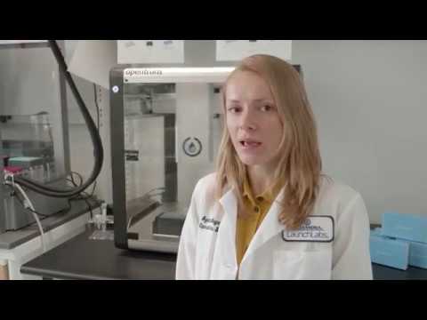 Kaja Wasik video thumbnail