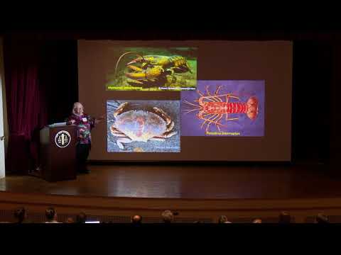 Eve Marder video thumbnail