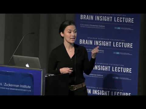 Nim Tottenham video thumbnail